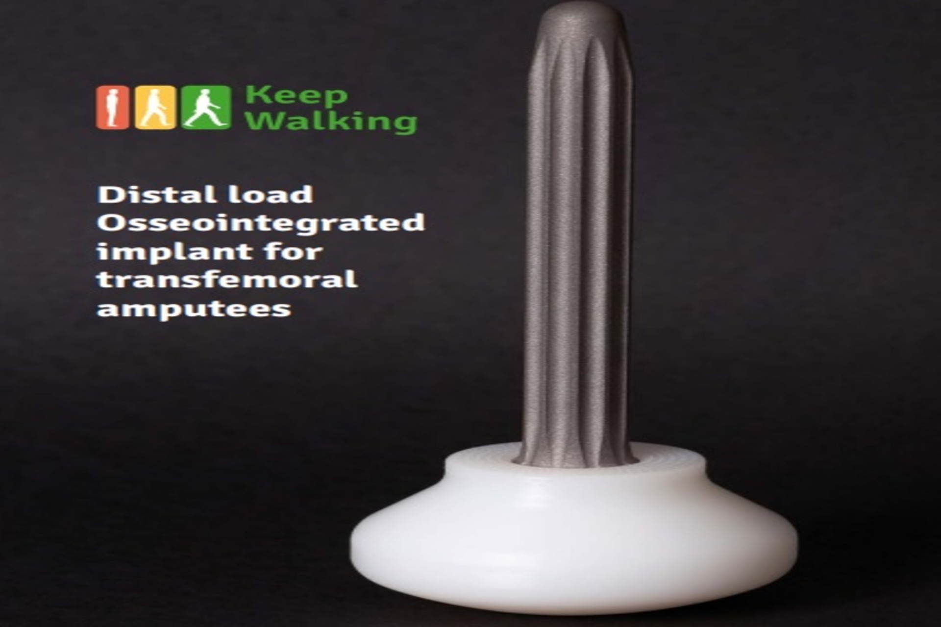 An Innovative Solution for Patients with Lower-Limb Amputation: The Keep Walking Implant
